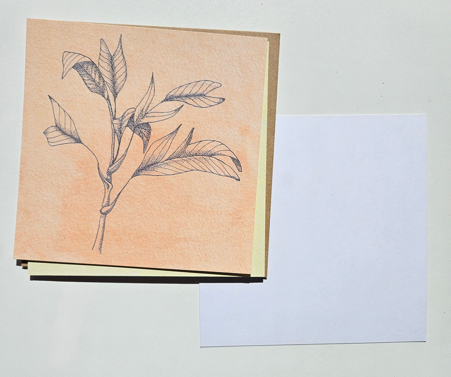 Botanical illustration postcards - pack of 3, with envelopes