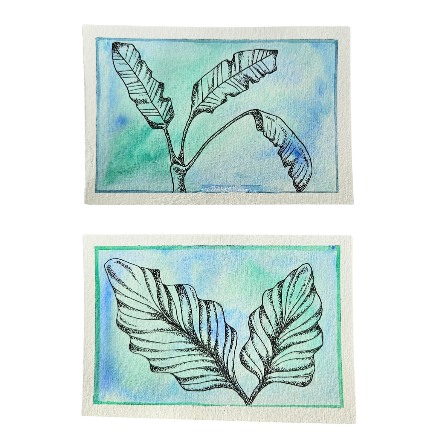 Pair of illustrated palm leaves on blue