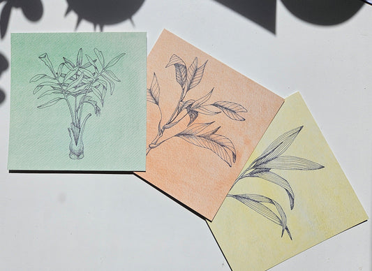 Three cards with botanical illustrations on a light background