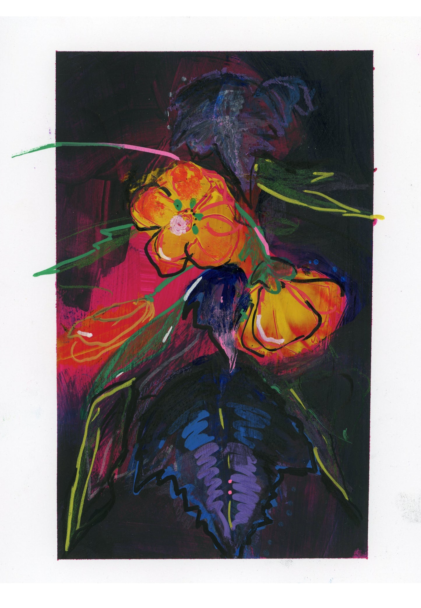 Abutilon - floral wall art print