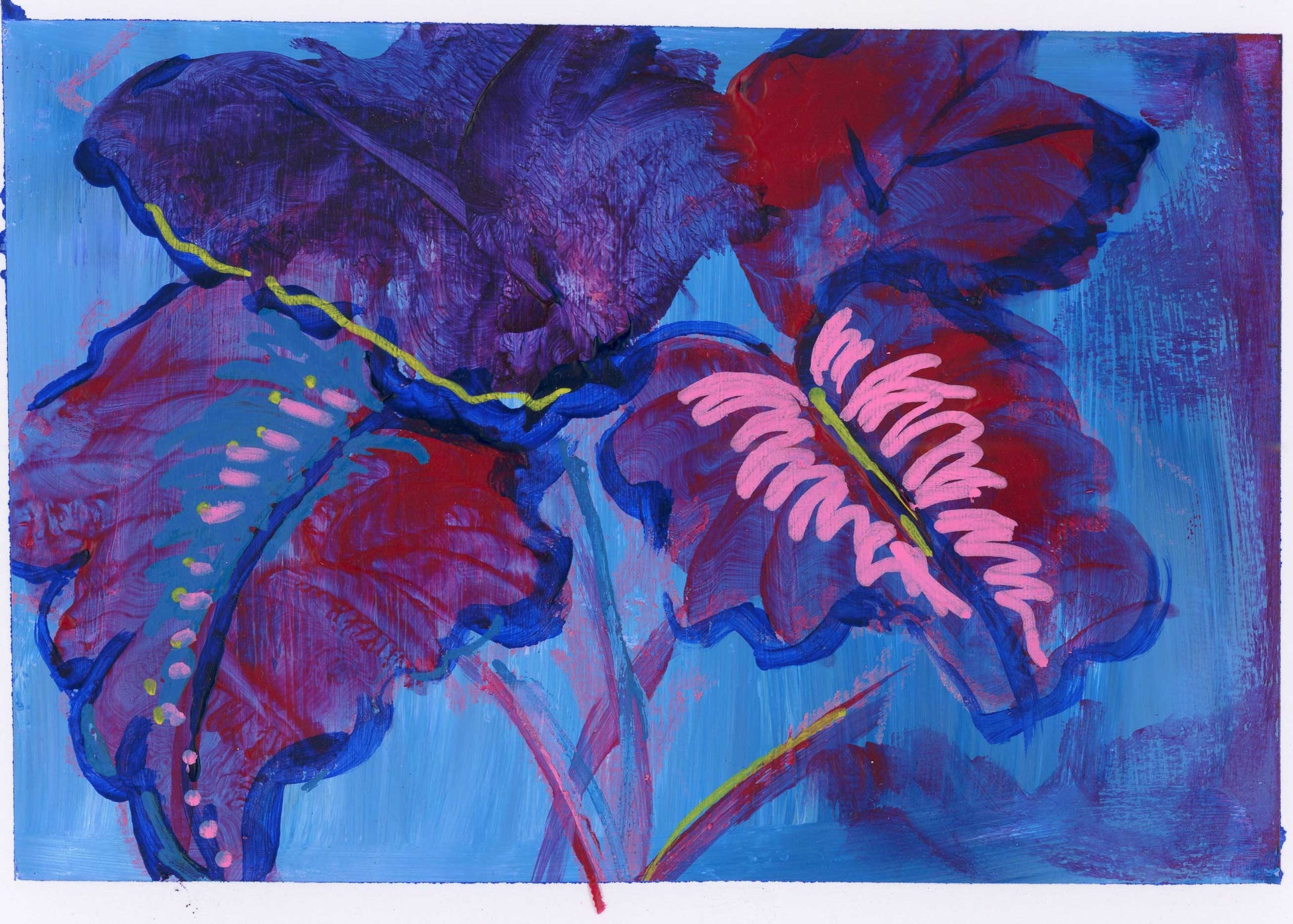 Art print of caladium plant in blue, with accents of purple and pink