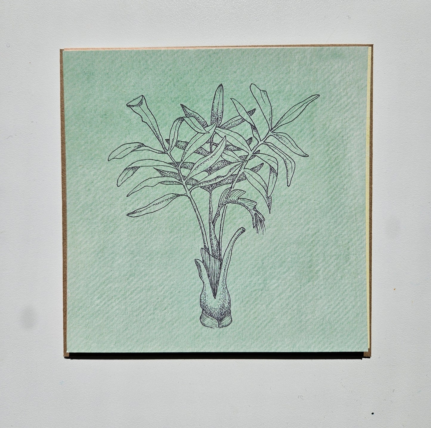 Botanical illustration postcards - pack of 3, with envelopes