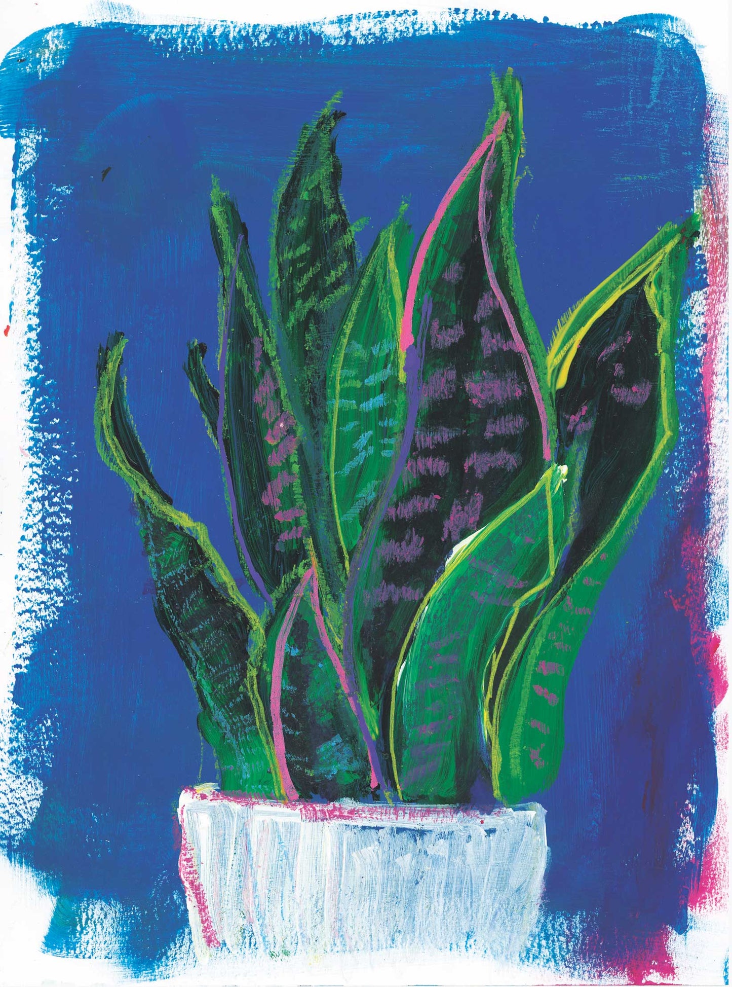 snake plant painting Snake plant