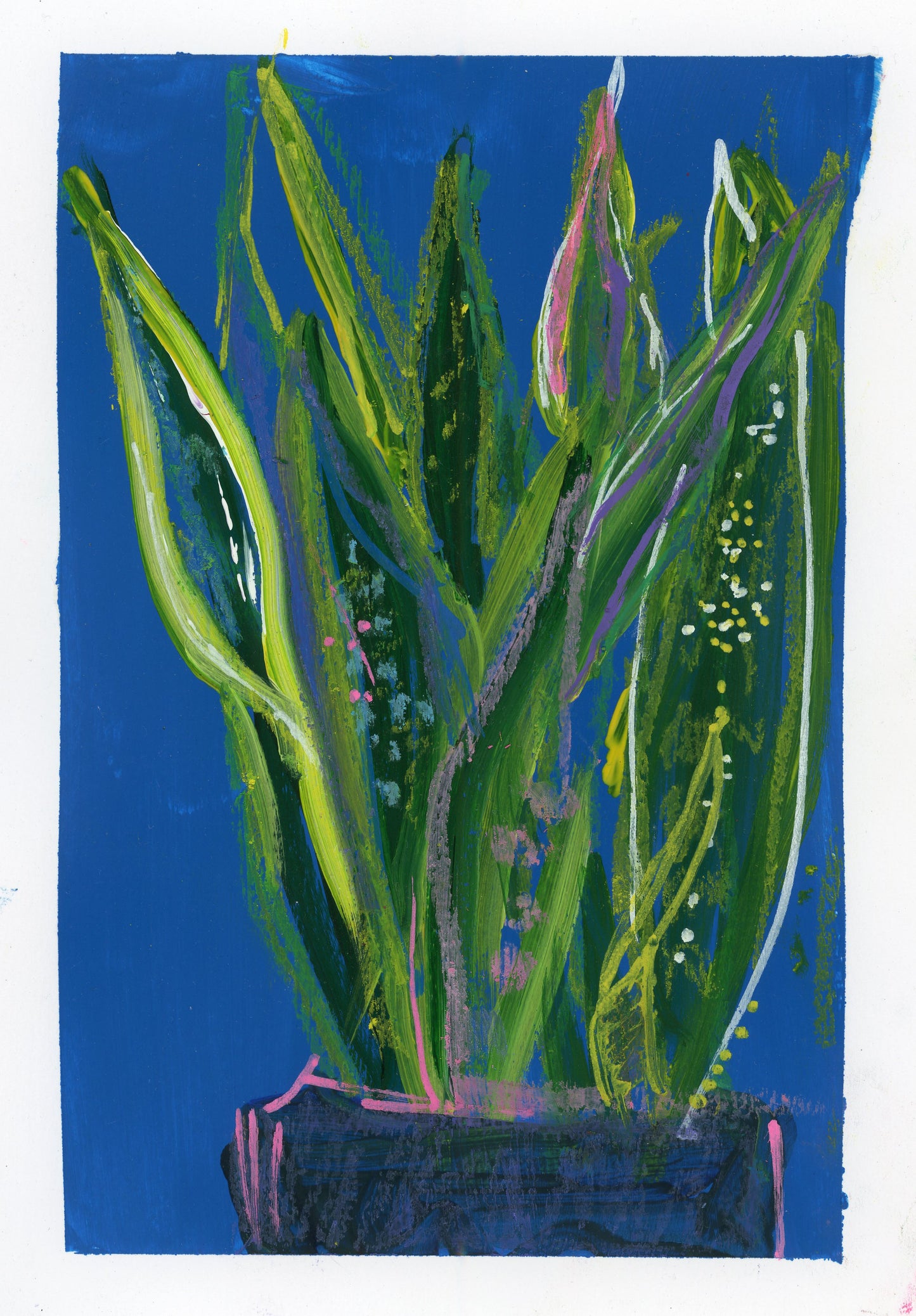 Snake plant painting on a blue background