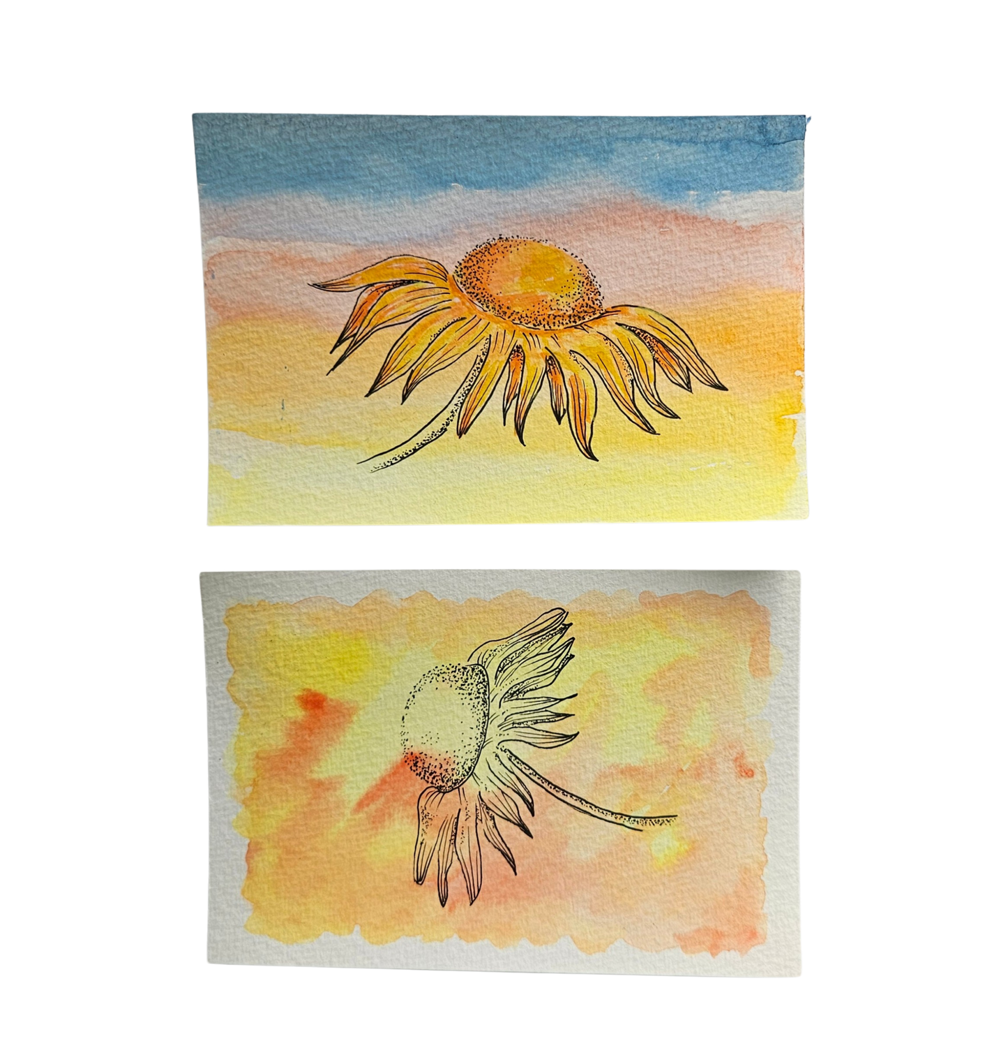 Pair of handpainted sunflower postcards