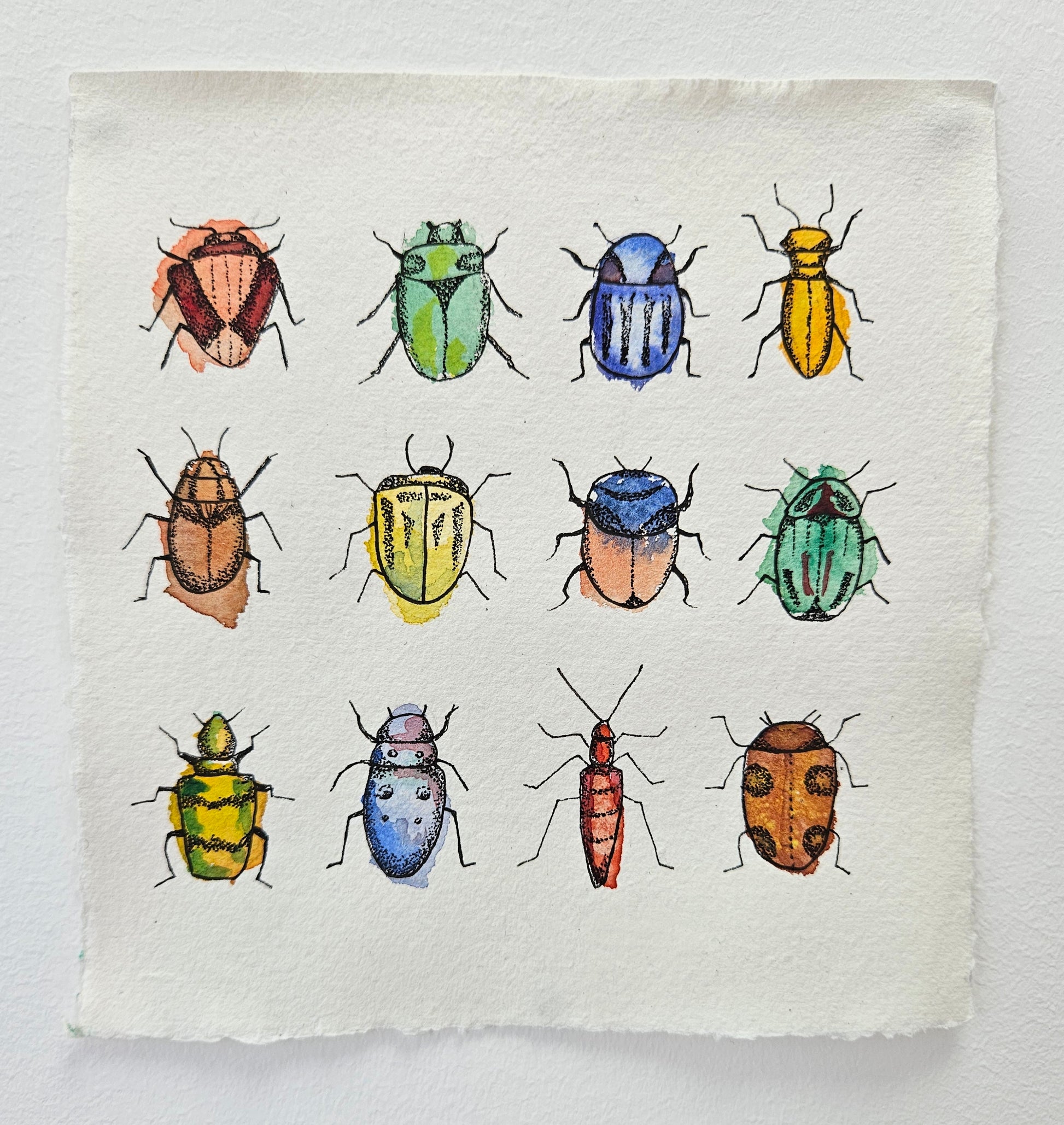12 illustrated beetles with bright watercolour bodies, on khadi paper