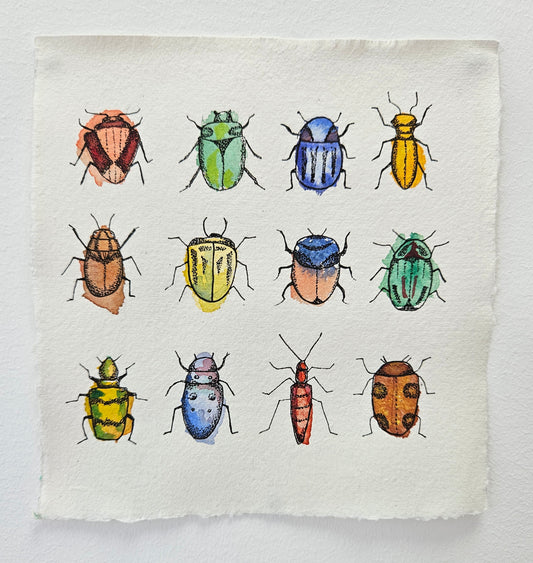 12 illustrated beetles with bright watercolour bodies, on khadi paper