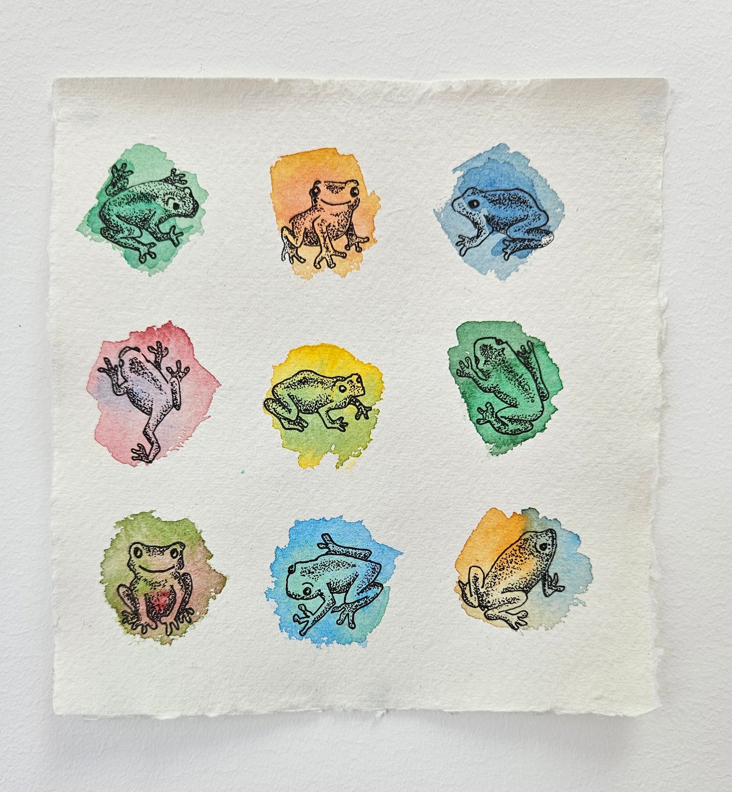 Nine small frogs drawn in pen and ink over colourful watercolour spots, on khadi paper