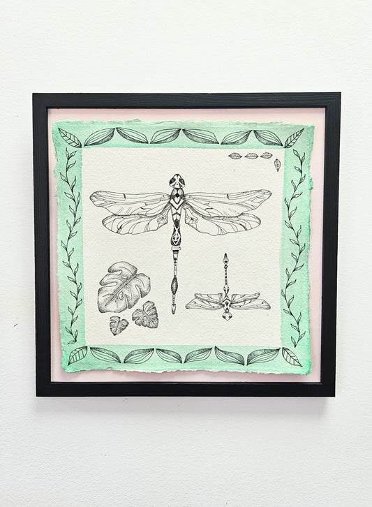 Hand-drawn dragonfly botanical illustration with tropical leaves and watercolour border, pen and ink on Khadi paper