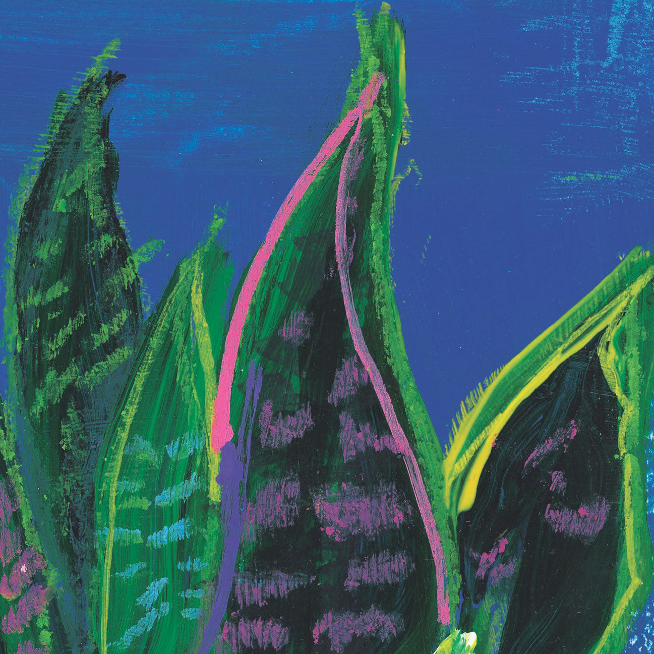 Snake plant - wall art print